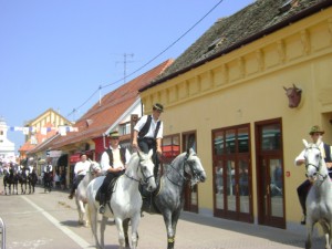 konjanik